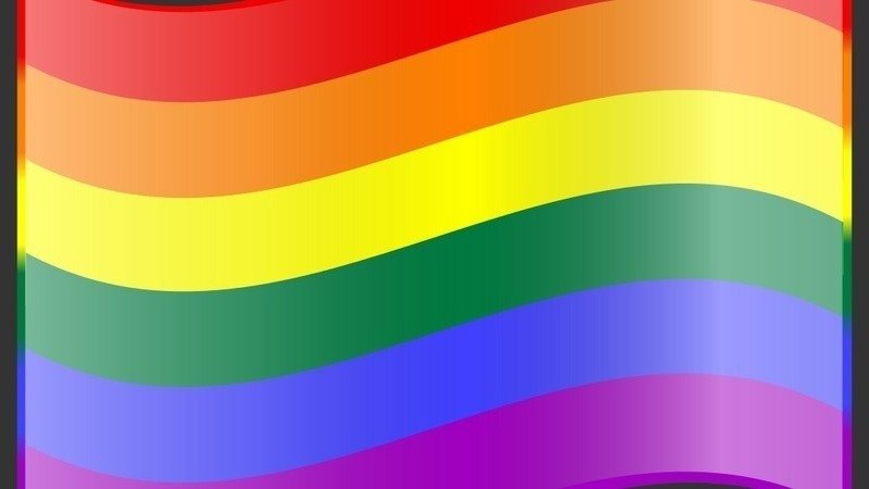 Love is Love: A Column on the Waltham LGBT+ Community