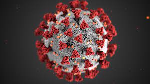 Coronavirus Cases Rising