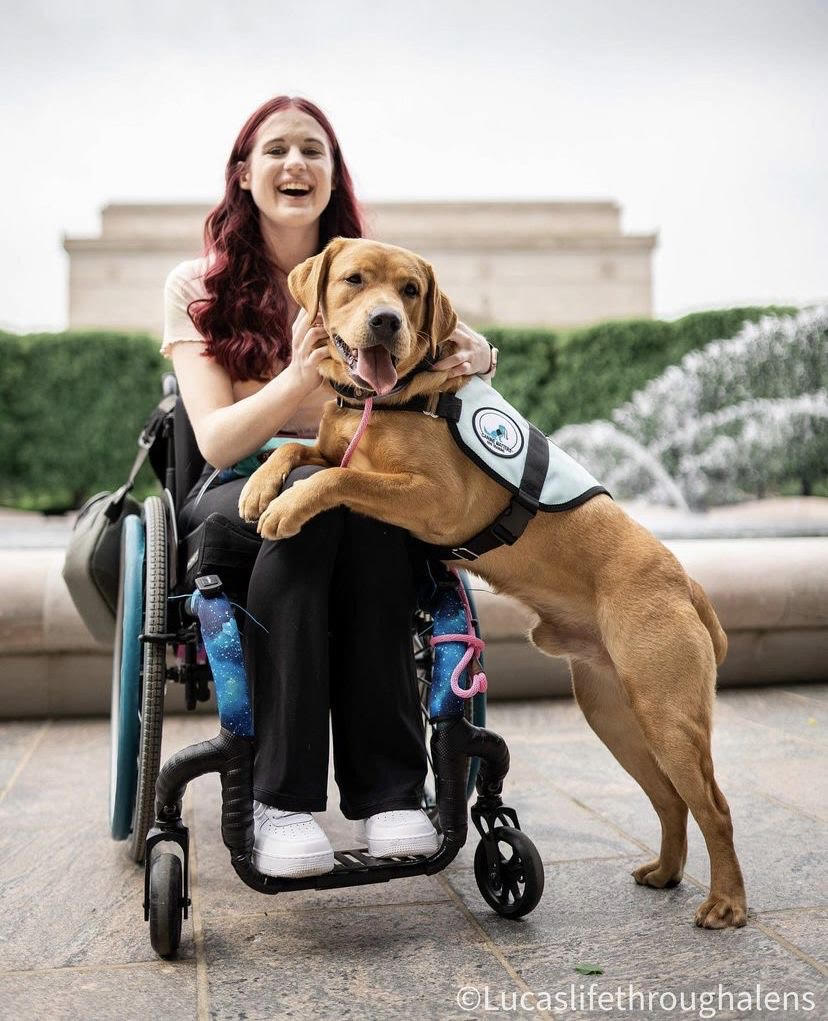 Pets Make a Big Impact in Our Lives