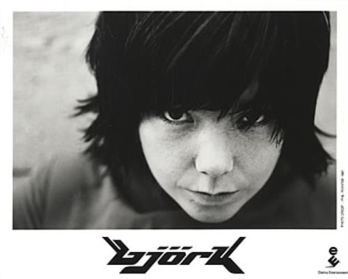 Homogenic by Björk
